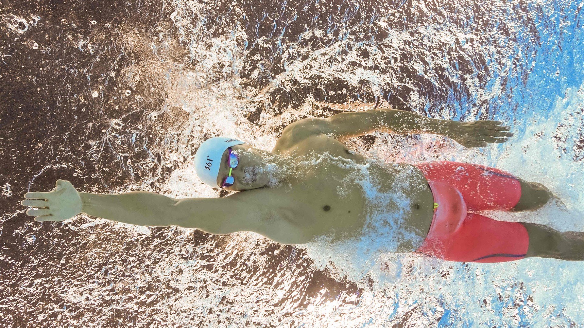 四国蝶泳滑行占比差异数据出炉，国外蝶泳